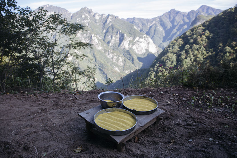 The Hermit Culture Living On in China’s Misty Mountains